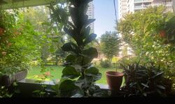 Laguna Park (D15), Apartment #561147881